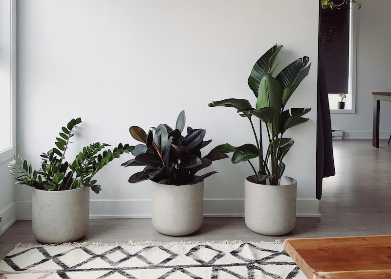 home staging per valorizzare un immobile