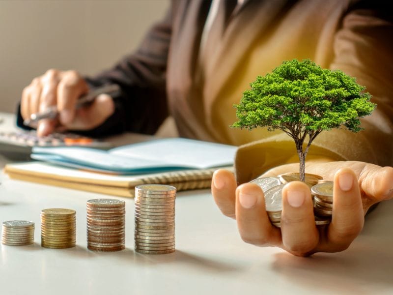 uomo con pianta in mano sopra a dei soldi a simbolo degli investimenti immobiliari svantaggi e vantaggi